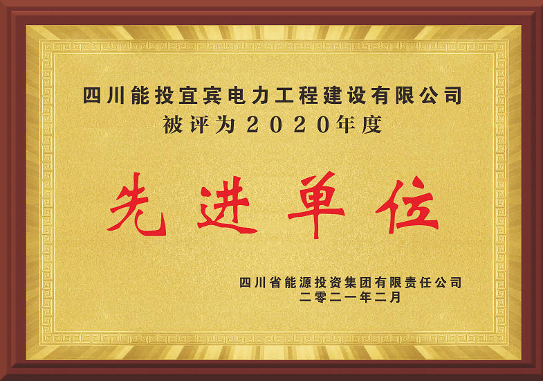2020年度先进单位 四川能投集团 2021.2
